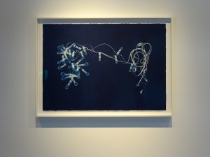 do-ho-suh-at-victoria-miro-19-light-bulbs-01-apt-a-348-w22-st-ny-cyanotype-for-web